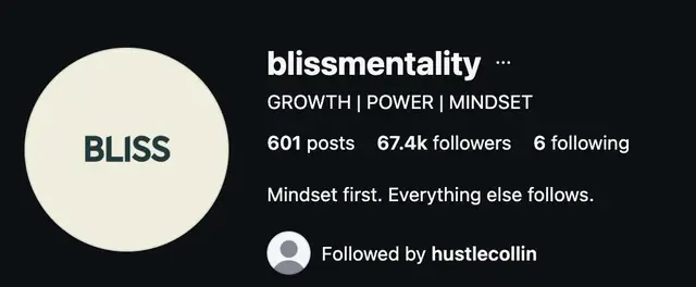 Instagram profile of @blissmentality showing 67.4K followers