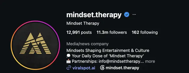 Instagram profile of @mindset.therapy showing 11.3M followers