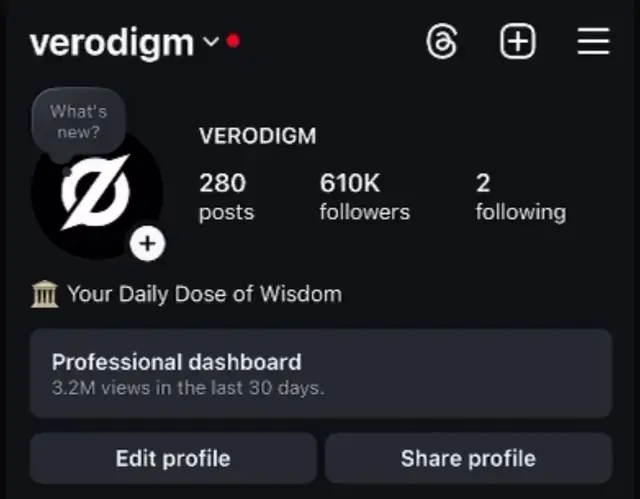 Instagram profile of @verodigm showing 610K followers